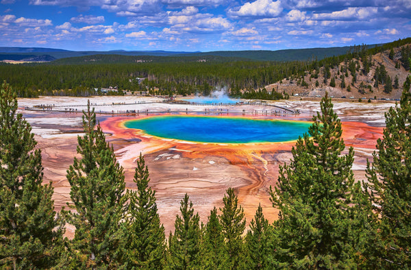 Where Four Origins Meet One Extraordinary Place: The Story Behind Broken Road Signature Yellowstone