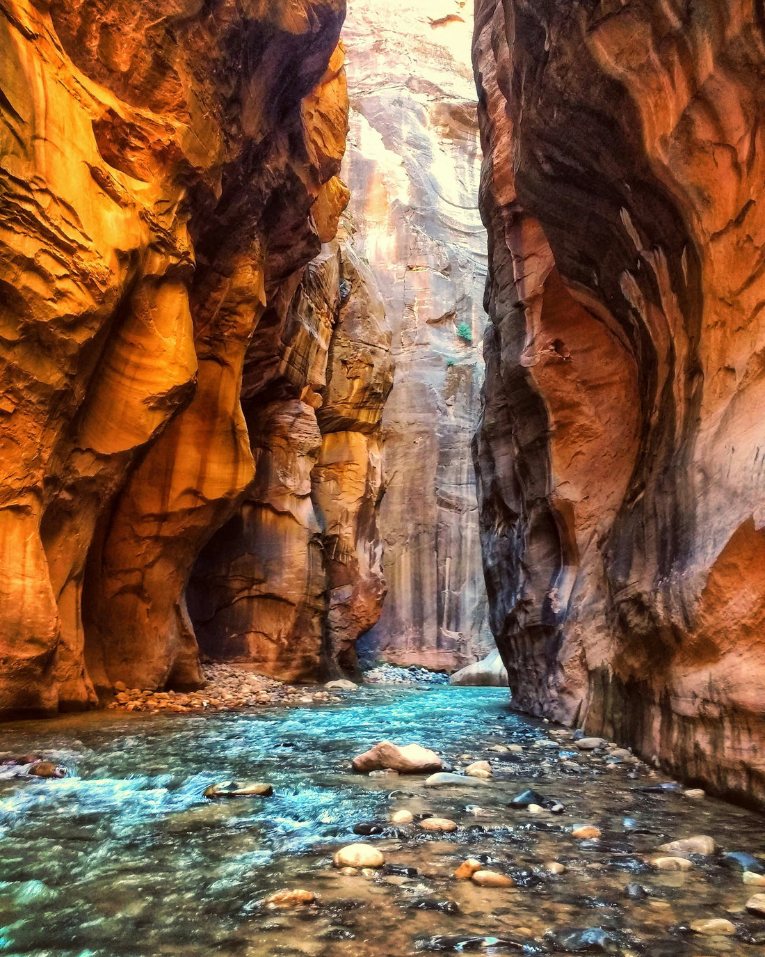 Zion: Where the Canyon Meets the Cup