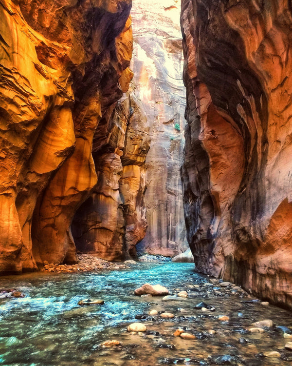 Zion: Where the Canyon Meets the Cup