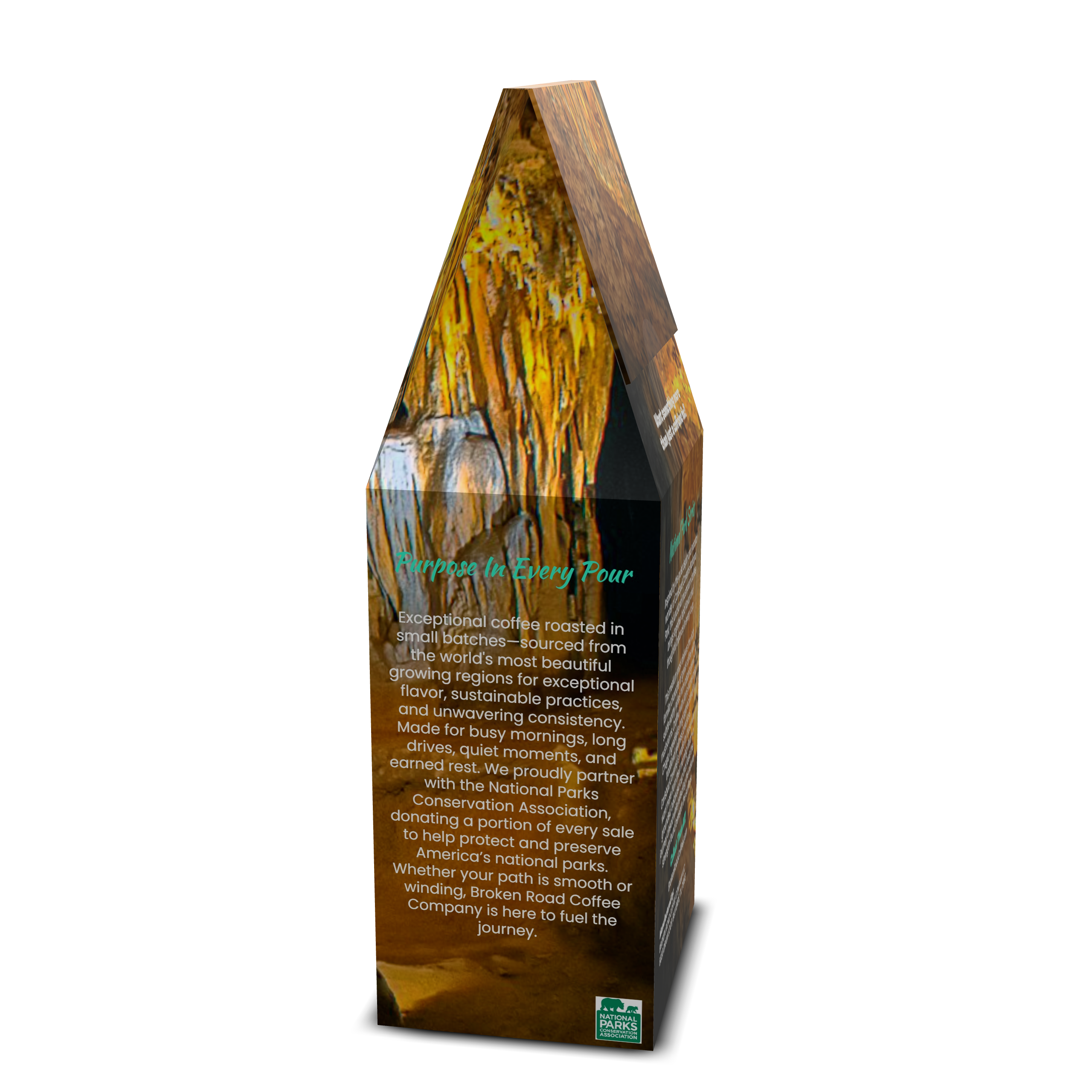 Carlsbad Caverns - Functional Mushroom